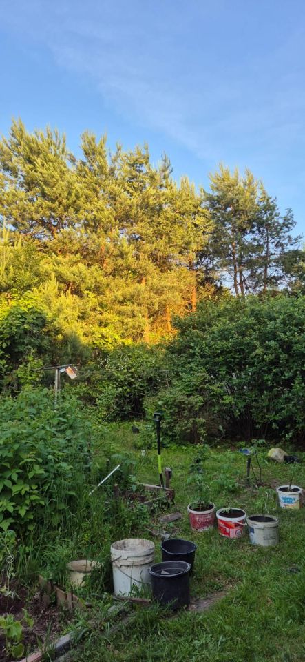 dom wolnostojący, 5 pokoi Sadów Kopce, ul. Powstańców Śląskich. Zdjęcie 76