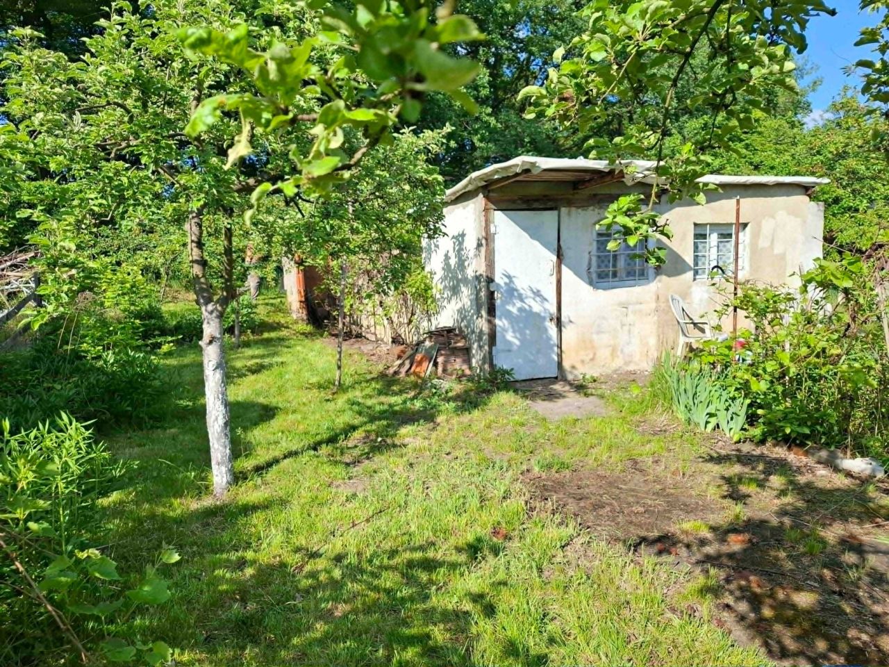 Działka rod Wrocław Śródmieście, ul. Tadeusza Czackiego. Zdjęcie 3