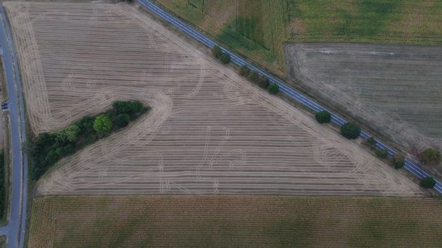 Działka inwestycyjna Zgorzelec. Zdjęcie 4