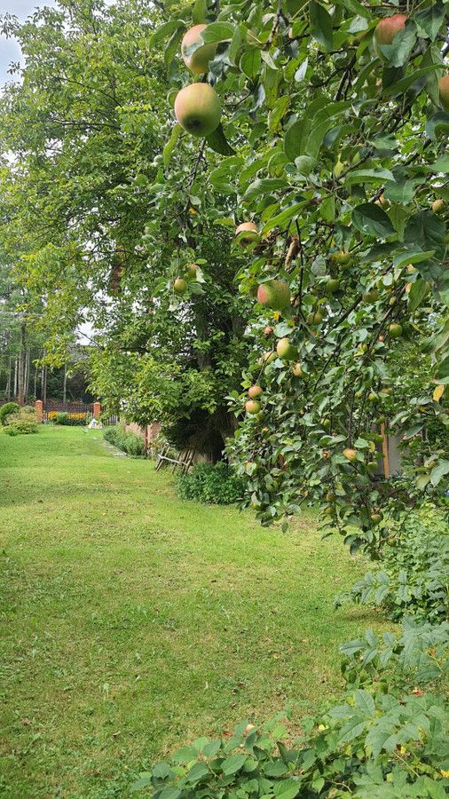 dom wolnostojący, 4 pokoje Mazańcowice, ul. Pod Kępą. Zdjęcie 8