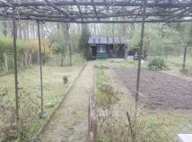 Działka rod Zielona Góra Jędrzychów. Zdjęcie 1