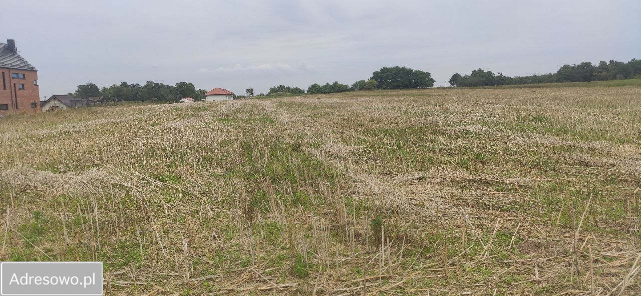 Działka rolna Nowa Wieś Malborska, ul. Sienna. Zdjęcie 3