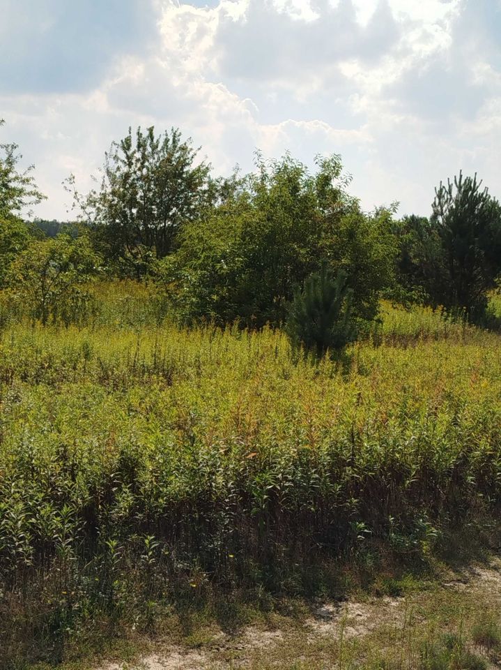 Działka budowlana Obrowo, ul. Szafirowa. Zdjęcie 3