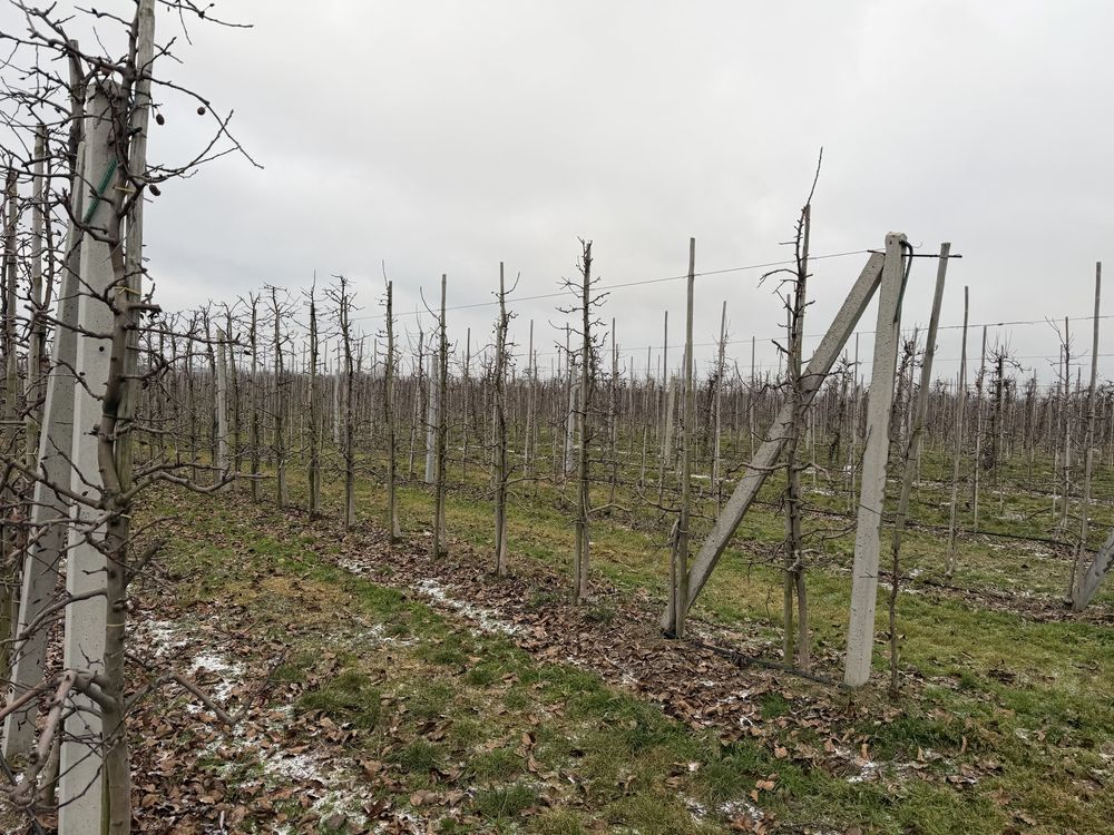 Działka rolna Grzymkowice. Zdjęcie 6