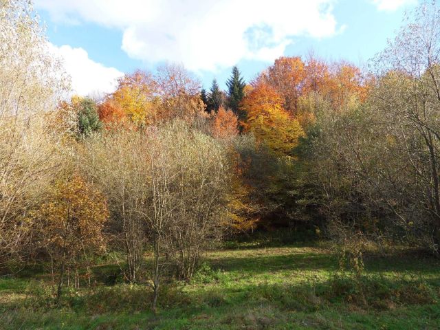 Działka rolno-budowlana Lecka. Zdjęcie 1