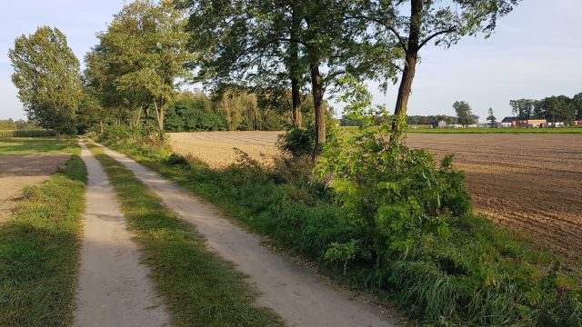 Działka budowlana Dąbrówka Nadolna. Zdjęcie 1