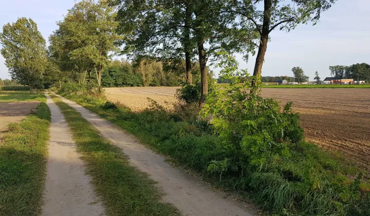 Działka budowlana Dąbrówka Nadolna