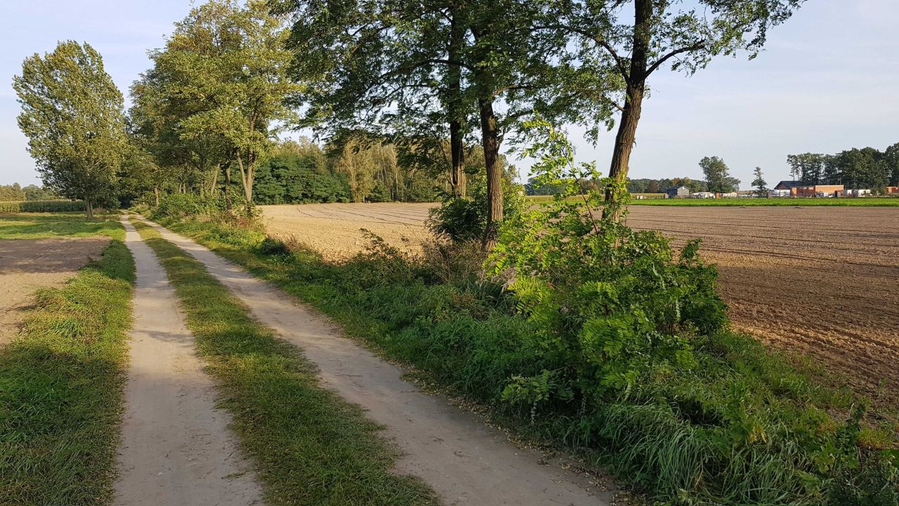 Działka budowlana Dąbrówka Nadolna. Zdjęcie 1