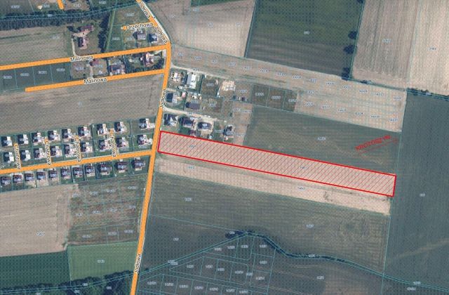 Działka inwestycyjna Konarzew, ul. Jodłowa. Zdjęcie 1