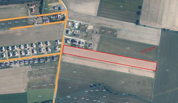 Działka inwestycyjna Konarzew, ul. Jodłowa