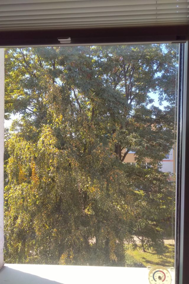 Mieszkanie 1-pokojowe Warszawa Mokotów, ul. Gotarda. Zdjęcie 5