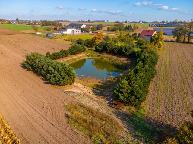 dom wolnostojący, 5 pokoi Mazew. Zdjęcie 3