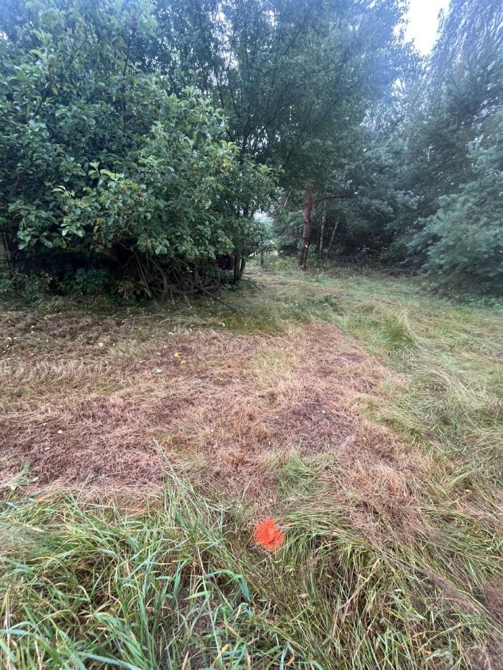 Działka rolno-budowlana Surmacze. Zdjęcie 6