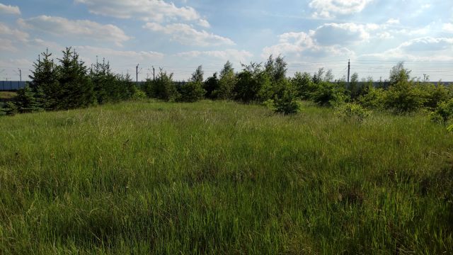 Działka budowlana Wrocław Lipa Piotrowska, ul. Pełczyńska. Zdjęcie 1