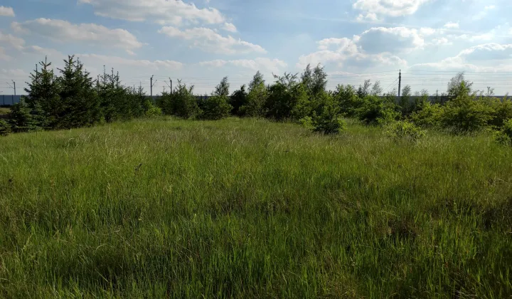 Działka budowlana Wrocław Lipa Piotrowska, ul. Pełczyńska