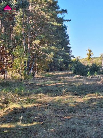 Działka budowlana Żółwieniec. Zdjęcie 2