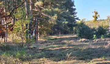 Działka budowlana Żółwieniec