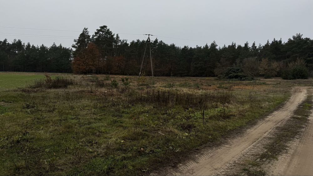 Działka budowlana Grzybów. Zdjęcie 5