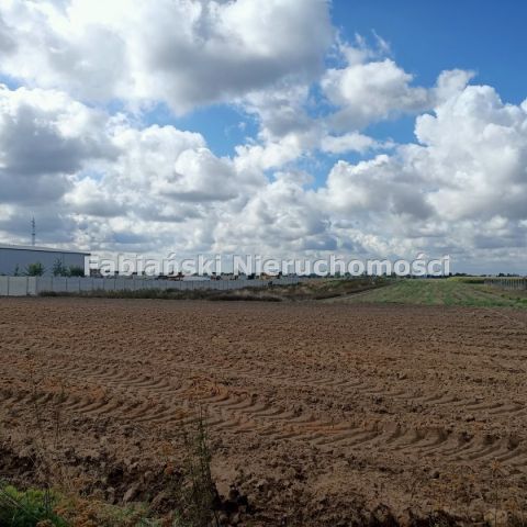 Działka inwestycyjna Mrowino. Zdjęcie 5