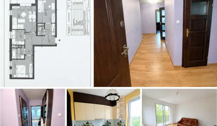 Mieszkanie 3-pokojowe Toruń Podgórz, ul. Poznańska