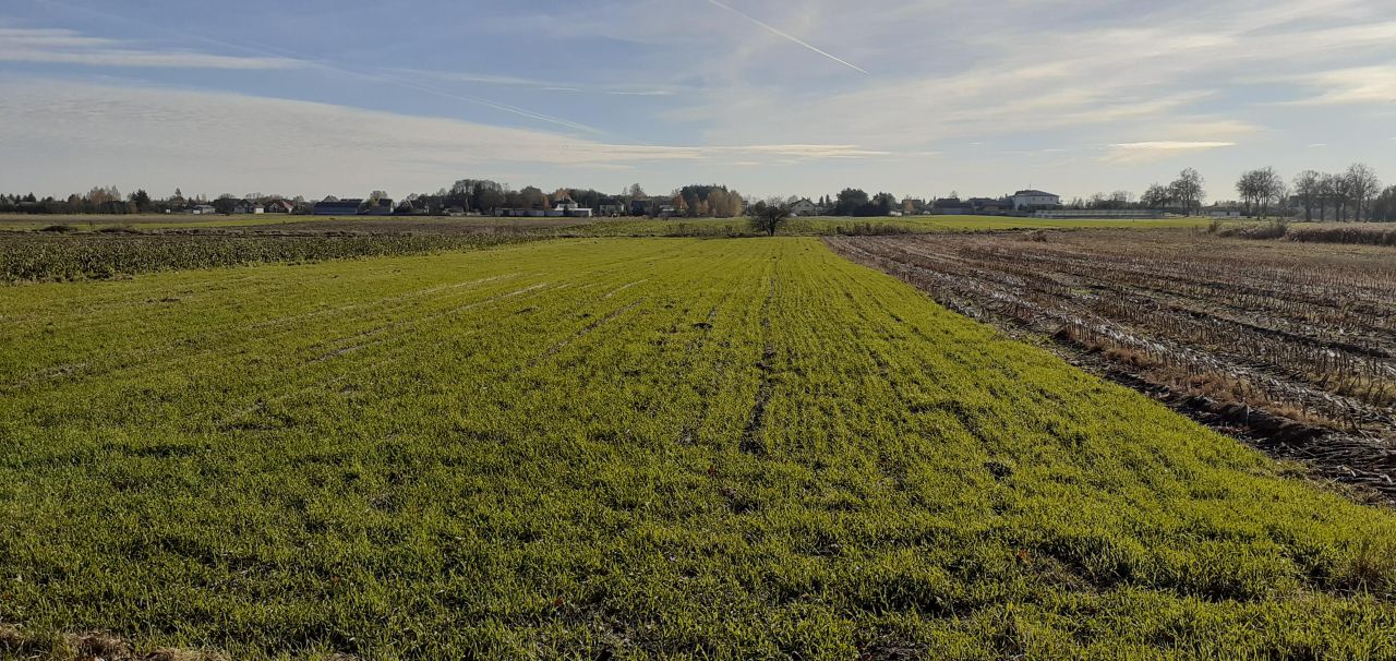 Działka rolna Chodów, ul. Sokołowska