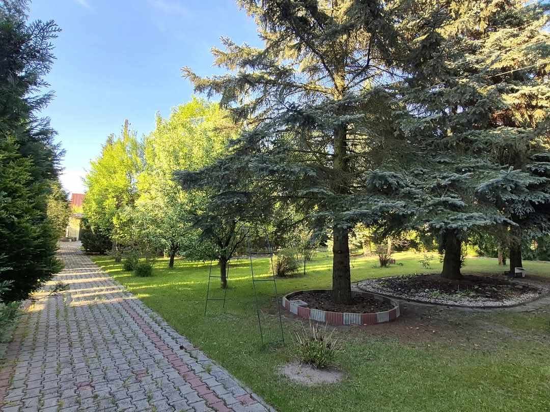 dom wolnostojący, 5 pokoi Bełchatów Olsztyn, ul. ks. Jerzego Popiełuszki. Zdjęcie 20