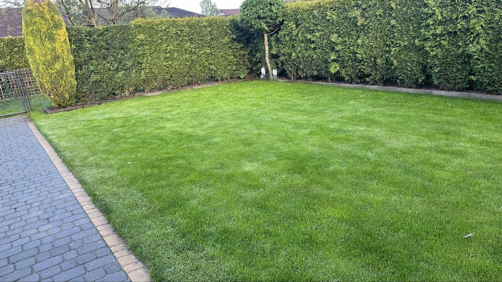 Działka rod Jaworzno Lubowiec. Zdjęcie 4