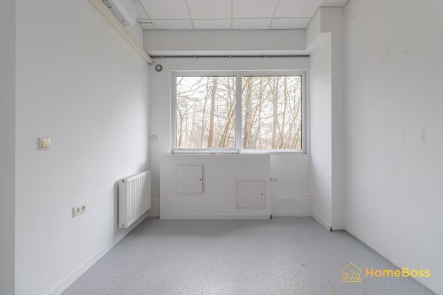 Lokal Brzezie, ul. Szlachecka. Zdjęcie 15