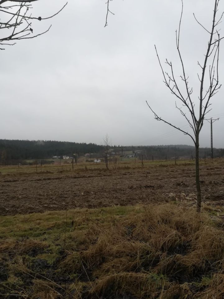 Działka budowlana Pruchnik, ul. ks. Bronisława Markiewicza. Zdjęcie 1