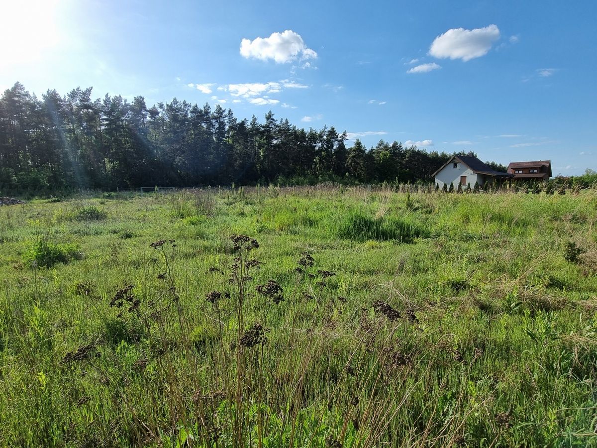 Działka budowlana Bagno. Zdjęcie 11