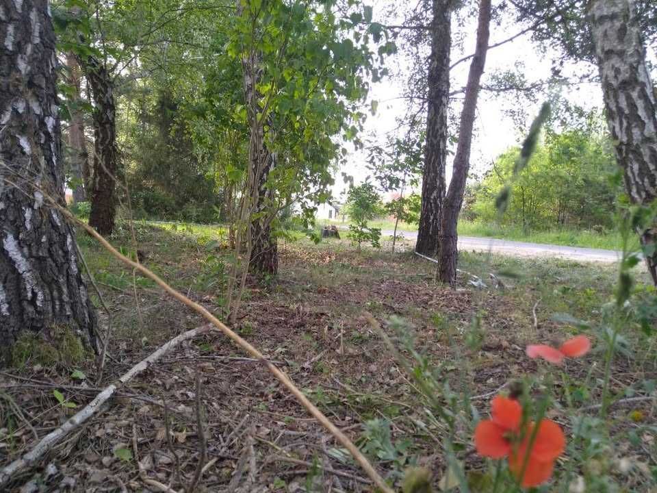 Działka budowlana Bartoszówka, ul. Pogodna. Zdjęcie 4