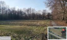 Działka budowlana Skoków. Zdjęcie 3