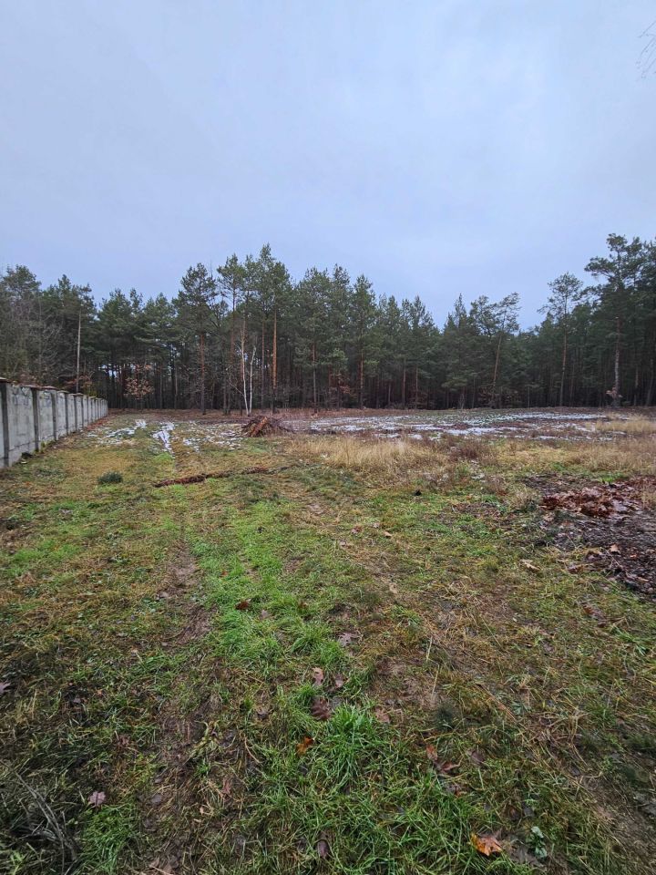 Działka budowlana Natolin. Zdjęcie 5