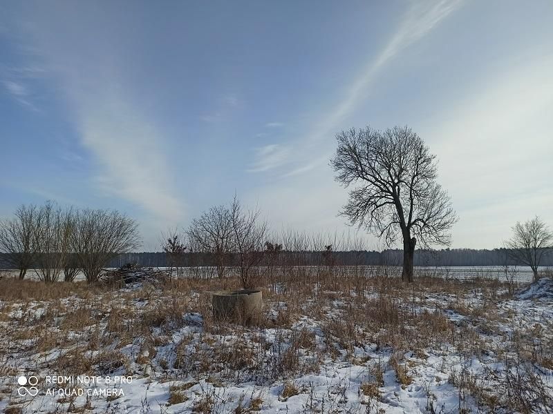 Działka siedliskowa Ostrówki. Zdjęcie 5