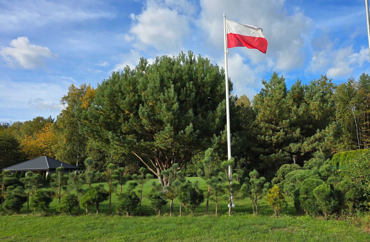 Działka budowlana Kałduny, ul. Kazimierza Wielkiego. Zdjęcie 8