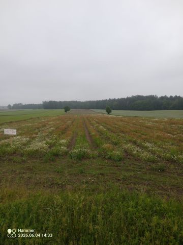 Działka budowlana Leonardów. Zdjęcie 1