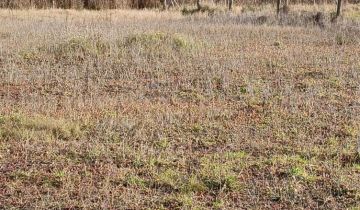 Działka budowlana Adamowo