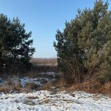 Działka budowlana Wołów. Zdjęcie 2