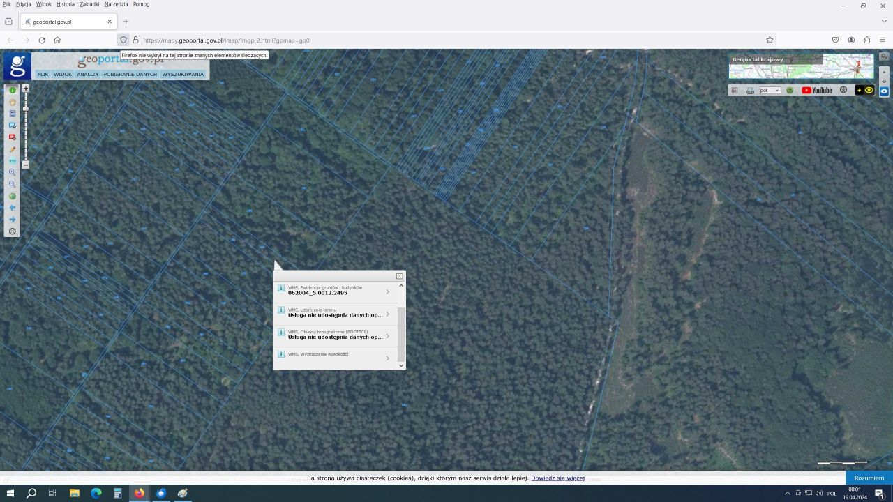 Działka leśna Krasnobród. Zdjęcie 2