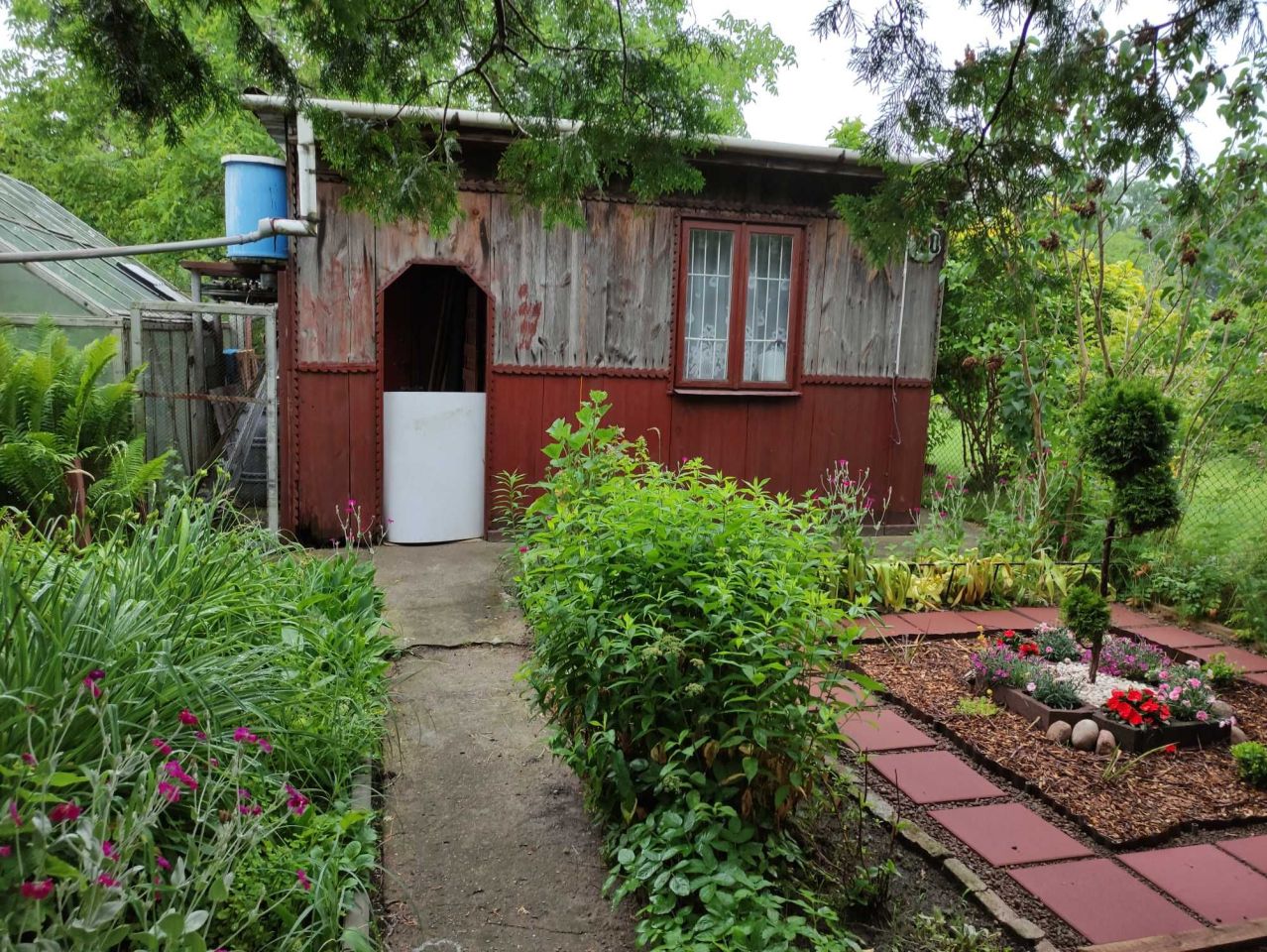 Działka rod Żyrardów, ul. Adama Mickiewicza. Zdjęcie 3