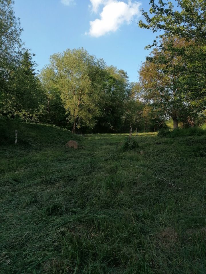 Działka budowlana Wałbrzych Poniatów, ul. Władysława Orkana. Zdjęcie 3