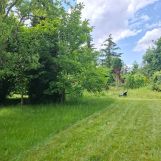 Działka rod Wrocław Krzyki, ul. Bardzka. Zdjęcie 2