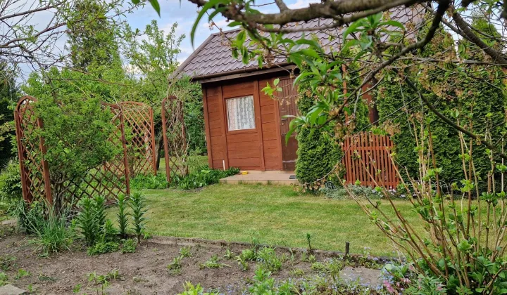 Działka rod Konin, ul. Świętojańska