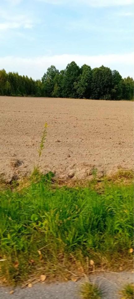 Działka rolno-budowlana Nowa Wieś. Zdjęcie 3