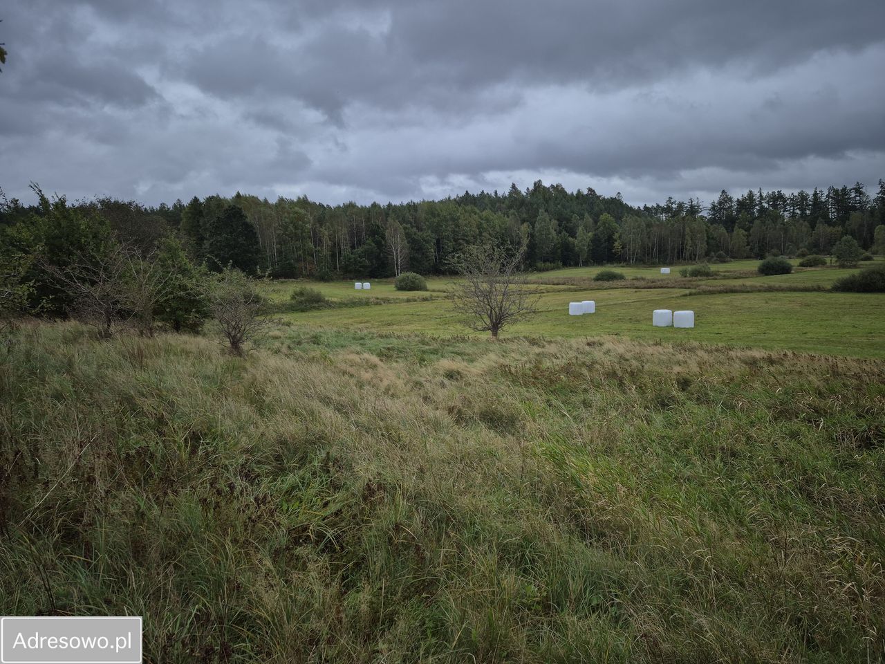 Działka siedliskowa Bukowina, ul. Jeziorna. Zdjęcie 5