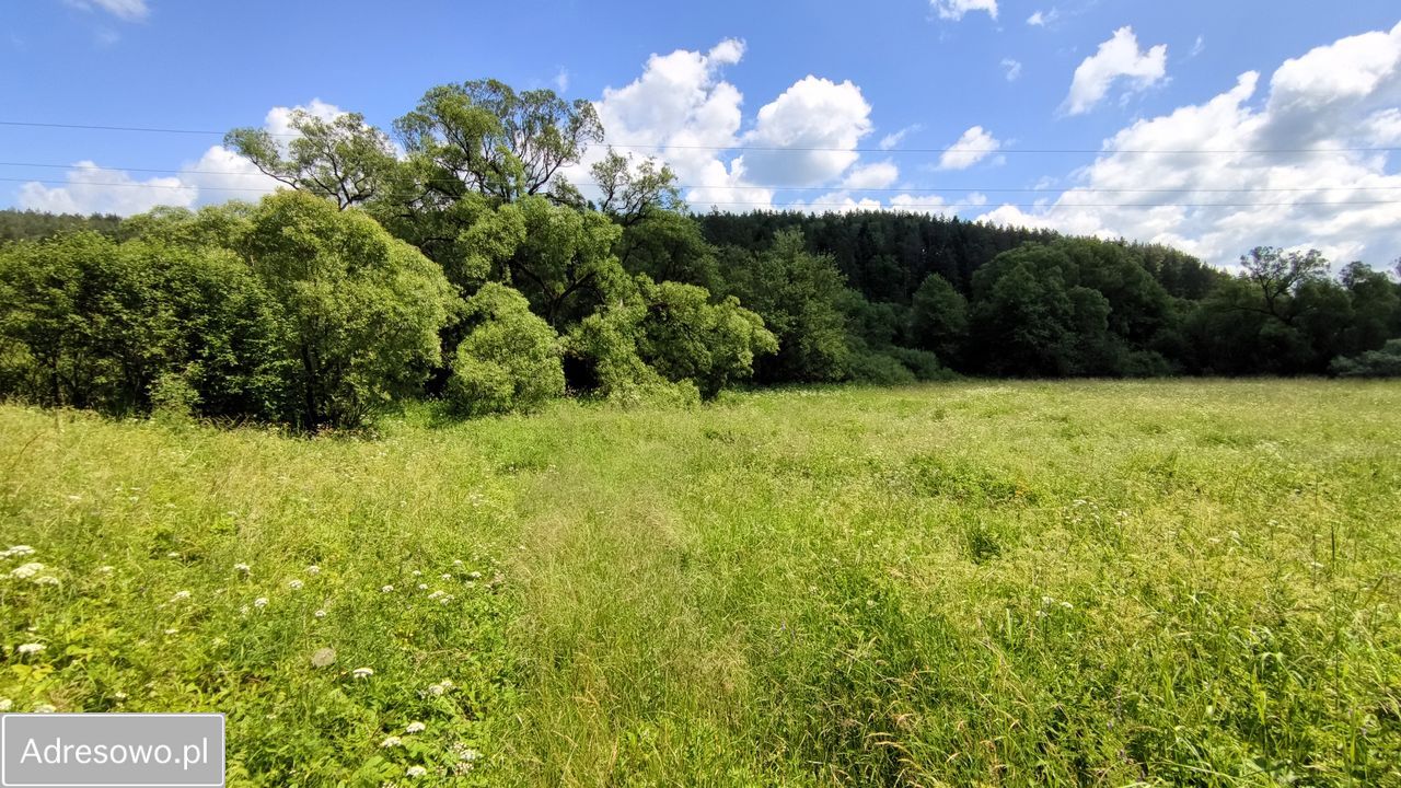 Działka rolna Trzcianiec. Zdjęcie 10