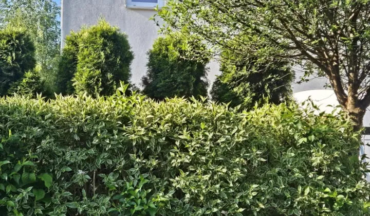 bliźniak Warszawa Wesoła, ul. Jana Pawła II