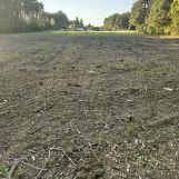 Działka rolno-budowlana Kossów. Zdjęcie 4