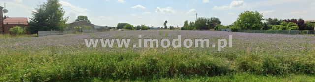 Działka inwestycyjna Dziadowa Kłoda. Zdjęcie 2