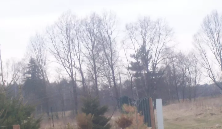 Działka rolno-budowlana Urowo Murawki